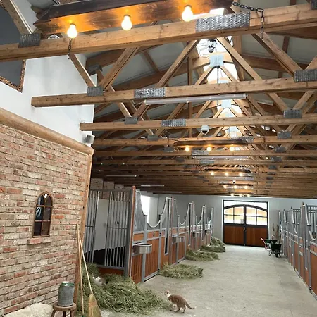 Apartment Lindenhof *